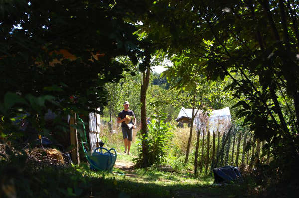 Cueillette de plantes sauvages comestibles au jardin