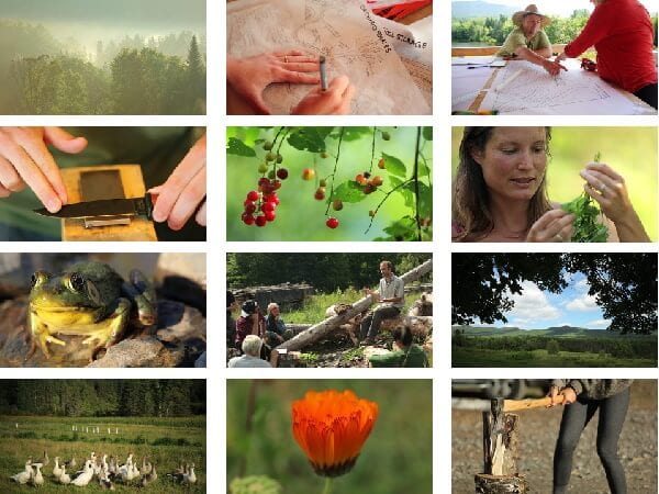 DVD pour se former en en permaculture