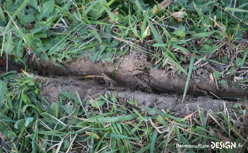 Pratiquer une bonne gestion de sa ressource en eau est primordial en permaculture !