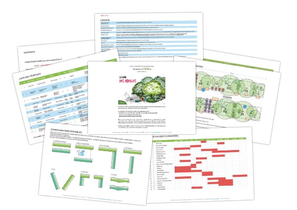 abeilles-pollinisateurs-recoltes-permaculture-design_14