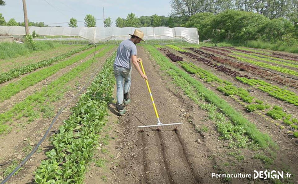 Faire une butte dans son potager n’est pas toujours pertinent, trouvez le support de culture idéal pour vous avec cette formation vidéo en ligne.