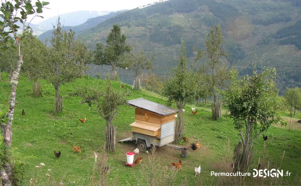 La ferme en permaculture de Sepp Holzer est un exemple remarquable de ce que peut donner une conception permacole réussie.