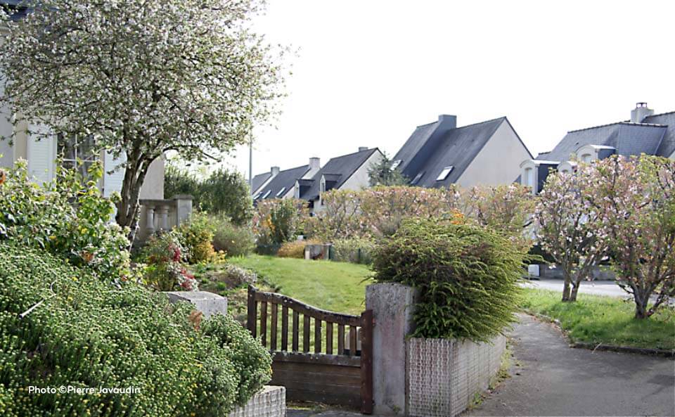 Installer une ruche dans son jardin permet de sauvegarder les abeilles et produire du miel.