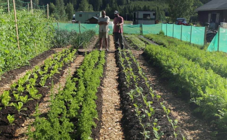 Ridgedale Permacultureest une ferme innovante, résiliente et rentable créée par Richard Perkins en Suède.