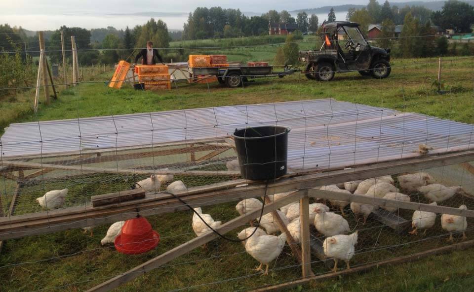 Ridgedale Permacultureest une ferme innovante, résiliente et rentable créée par Richard Perkins en Suède.