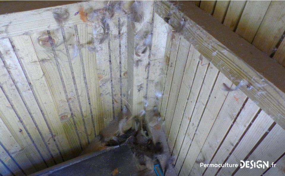 Avoir un élevage de poules permet de valoriser diverses productions au jardin potager pour booster vos cultures.