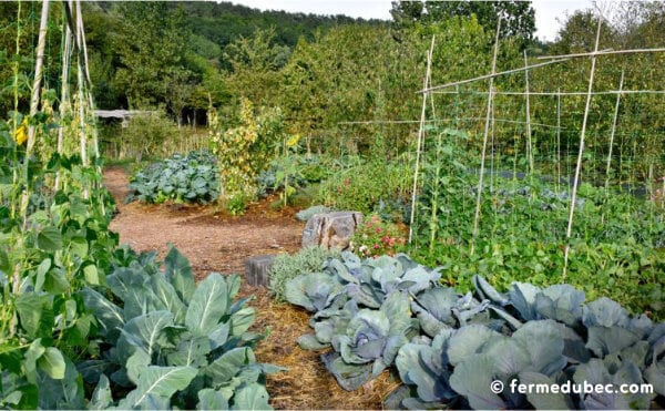 La ferme du Bec Hellouin, a été conçue par Perrine et Charles Hervé-Gruyer grâce aux principes de permaculture et la méthodologie de design.