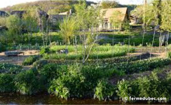 La ferme du Bec Hellouin, a été conçue par Perrine et Charles Hervé-Gruyer grâce aux principes de permaculture et la méthodologie de design.