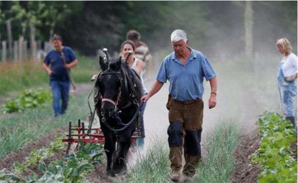 La ferme du Bec Hellouin, a été conçue par Perrine et Charles Hervé-Gruyer grâce aux principes de permaculture et la méthodologie de design.