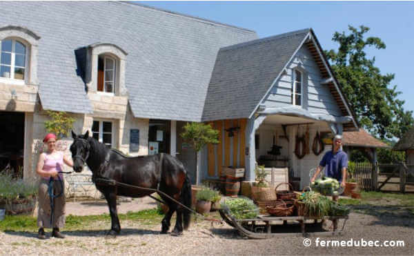 La ferme du Bec Hellouin, a été conçue par Perrine et Charles Hervé-Gruyer grâce aux principes de permaculture et la méthodologie de design.