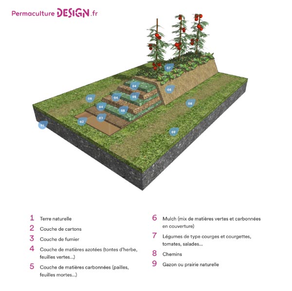 La culture en lasagne est une technique de Permaculture visant à créer des buttes de culture temporaires très fertiles. Un jardin en lasagne ou potager en lasagne se réalise rapidement et facilement si on a les matières organiques à disposition.