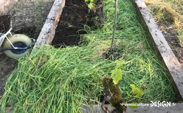 La culture en lasagne est une technique de Permaculture visant à créer des buttes de culture temporaires très fertiles. Un jardin en lasagne ou potager en lasagne se réalise rapidement et facilement si on a les matières organiques à disposition.