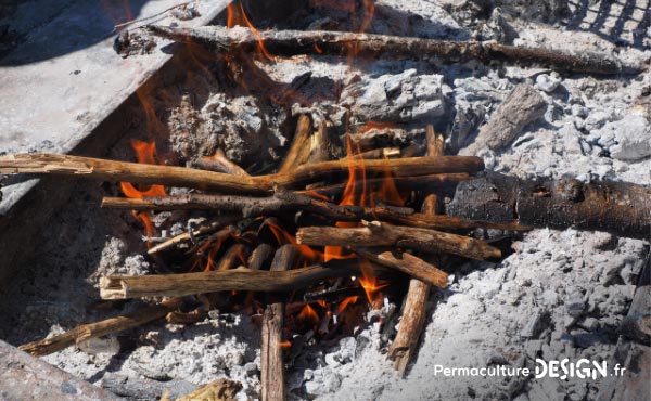 La culture en lasagne est une technique de Permaculture visant à créer des buttes de culture temporaires très fertiles. Un jardin en lasagne ou potager en lasagne se réalise rapidement et facilement si on a les matières organiques à disposition.