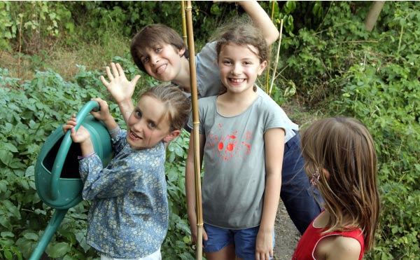 La culture en lasagne est une technique de Permaculture visant à créer des buttes de culture temporaires très fertiles. Un jardin en lasagne ou potager en lasagne se réalise rapidement et facilement si on a les matières organiques à disposition.