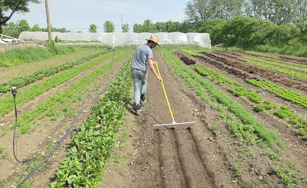 Récapitulatif des différents types de buttes de permaculture : hugelkultur, keyhole, spirale aromatique, butte autofertile, culture en lasagne, butte façon Philip Forrer…un guide complet pour faciliter votre choix !