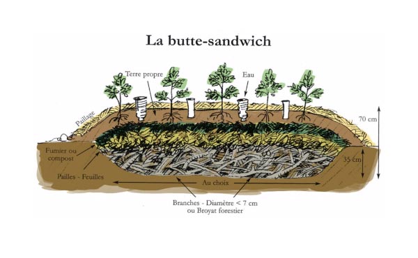 Récapitulatif des différents types de buttes de permaculture : hugelkultur, keyhole, spirale aromatique, butte autofertile, culture en lasagne, butte façon Philip Forrer…un guide complet pour faciliter votre choix !