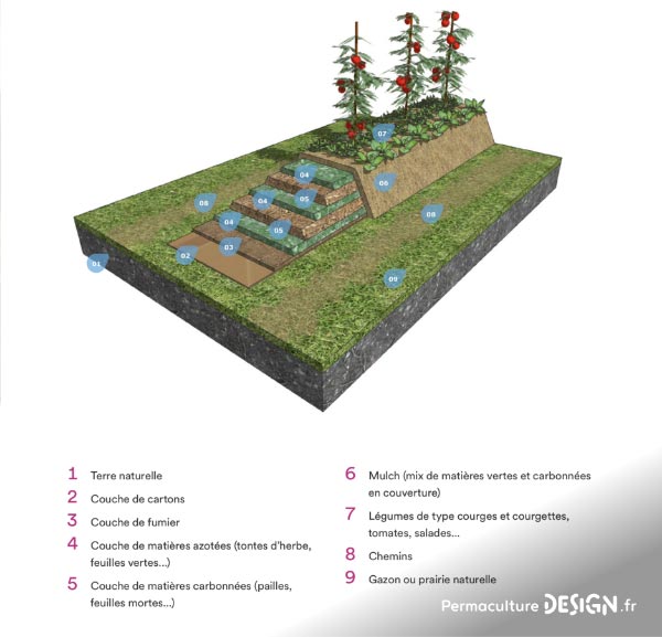 Récapitulatif des différents types de buttes de permaculture : hugelkultur, keyhole, spirale aromatique, butte autofertile, culture en lasagne, butte façon Philip Forrer…un guide complet pour faciliter votre choix !