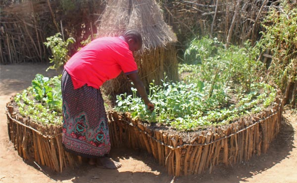 Récapitulatif des différents types de buttes de permaculture : hugelkultur, keyhole, spirale aromatique, butte autofertile, culture en lasagne, butte façon Philip Forrer…un guide complet pour faciliter votre choix !