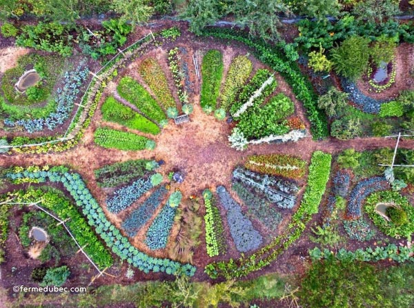 Récapitulatif des différents types de buttes de permaculture : hugelkultur, keyhole, spirale aromatique, butte autofertile, culture en lasagne, butte façon Philip Forrer…un guide complet pour faciliter votre choix !