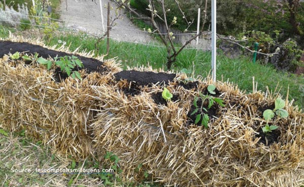 Récapitulatif des différents types de buttes de permaculture : hugelkultur, keyhole, spirale aromatique, butte autofertile, culture en lasagne, butte façon Philip Forrer…un guide complet pour faciliter votre choix !