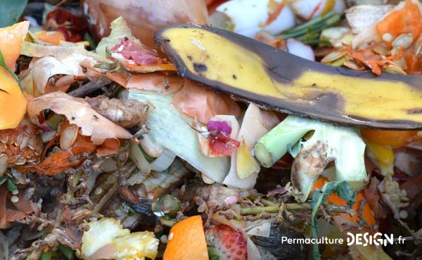 Tout savoir sur le compost et les techniques de compostage existantes pour fabriquer soi-même son compost maison pour le jardin potager, d’ornement ou ses bacs de cultures et jardinières sur le balcon !