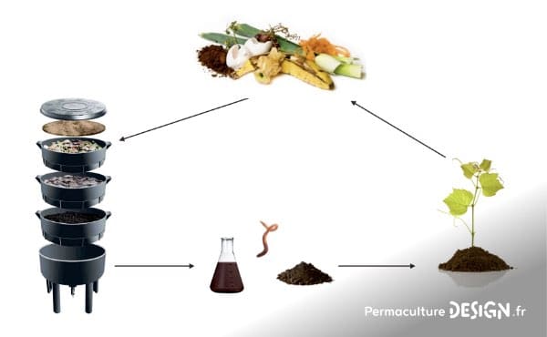 Un lombricomposteur permet de faire du compost simplement, c’est un super composteur d’appartement très efficace avec de nombreux avantages.