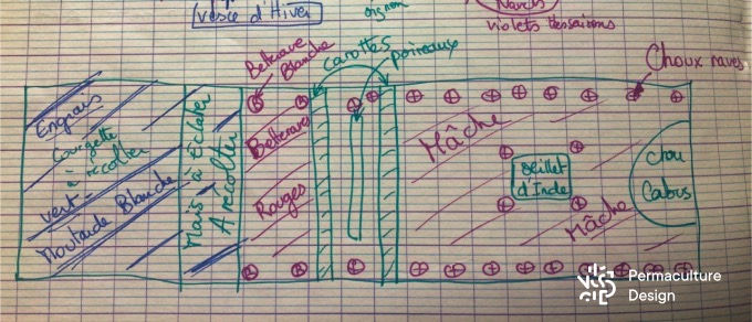 Faire ses plans potagers est une étape incontournable de l’organisation au jardin. On peut s’aider de codes couleurs pour distinguer, par exemple, les plantes en fin de culture, les plantes en début de culture et celles à venir… À chacun de trouver la méthode qui lui conviendra !!