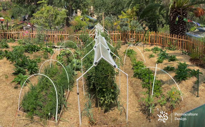 Photo de potager en permaculture.