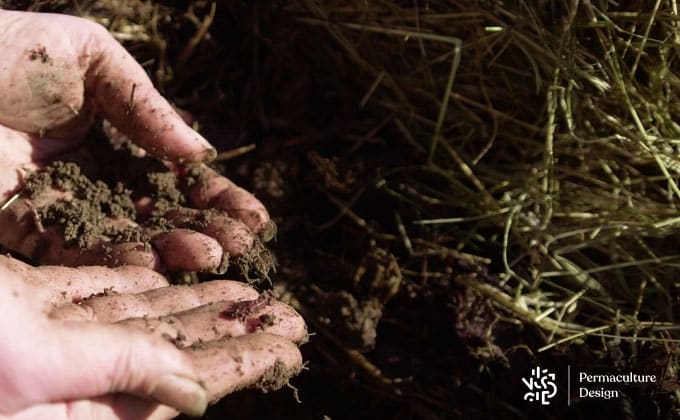 Sol vivant et humide sous le paillage du jardin en permaculture.