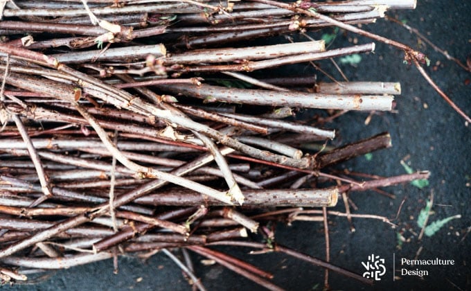 Branchages et bois coupés au jardin.