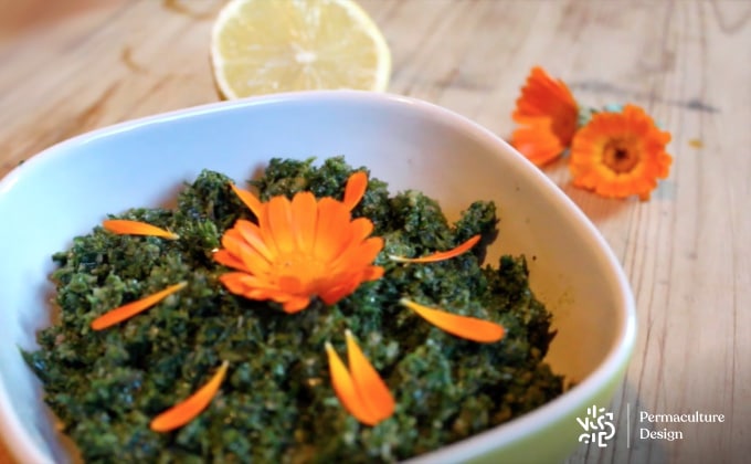 Décoration d’un pesto aux pétales de fleurs de soucis comestibles.