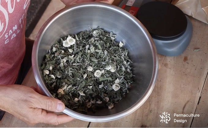 Exemple d’assemblage de plusieurs plantes médicinales pour confectionner une tisane à visée thérapeutique.