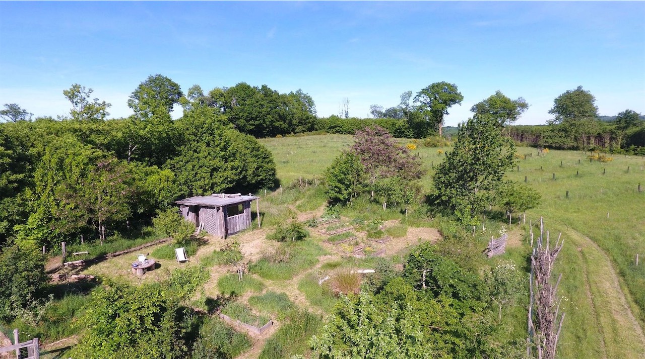 Création jardin-forêt en permaculture France.