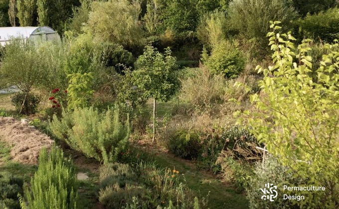 Jardin en permaculture productif, esthétique et diversifié.