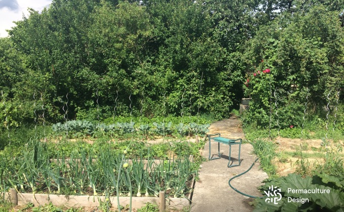 Potager en permaculture productif.