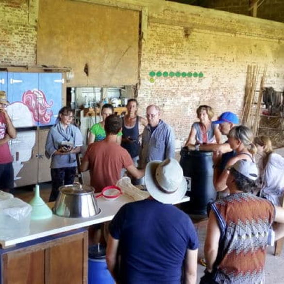 Cours de phytothérapie lors d'une formation sur comment créer son verger naturel.